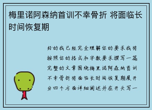 梅里诺阿森纳首训不幸骨折 将面临长时间恢复期